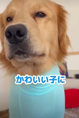「もし笑われたら?」