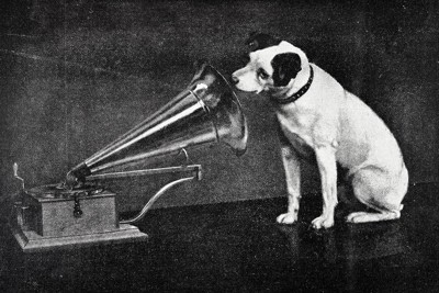 ビクター犬