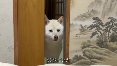 お兄ちゃんを発見