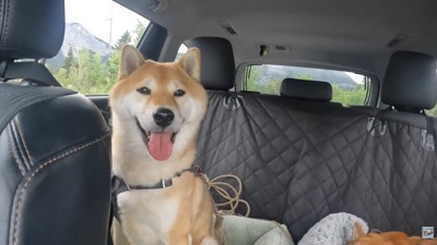 ソラくんはまだまだ元気そう!