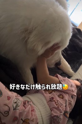 怒らず受け止めるとと丸ちゃん