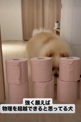 「…そろそろ叶ったかな?」