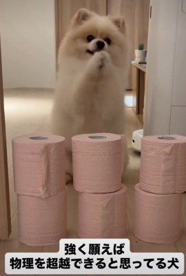二本足で立って…