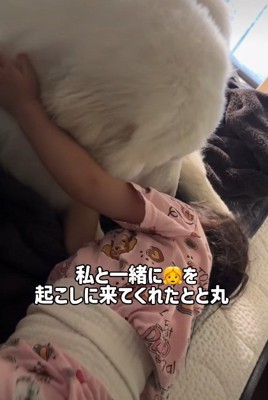 とと丸ちゃんをベタベタ触る