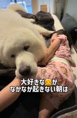 娘を起こしに行ったら…
