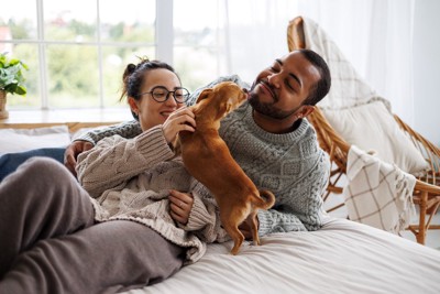 カップルと戯れる犬