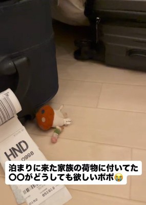ストラップが欲しかった♡