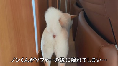 1階に戻ってきたら、様子が変…！