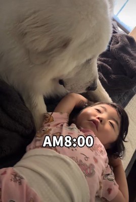 起きたくなさそうな娘さん