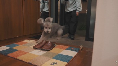 大はしゃぎ♪