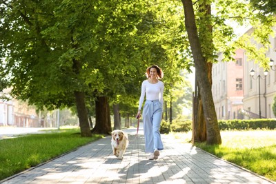 散歩する女性と犬
