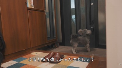 「来た…!」と大喜び