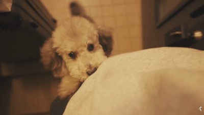 「おかえりなさい!」