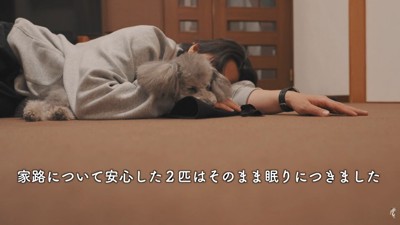 仲良く夢の中へ…