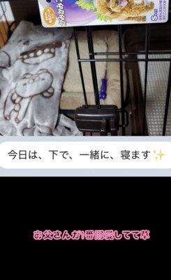 寝床とメッセージ画面