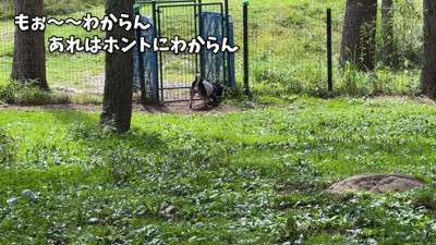謎の行動に、ご家族も困惑…