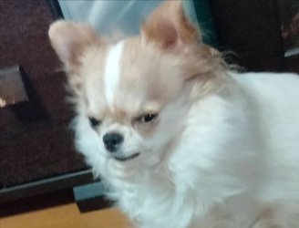 ジトッ