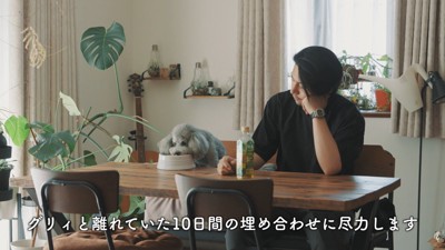 日常が戻ってきました