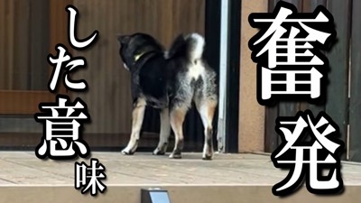 部屋に戻ってしまいました!