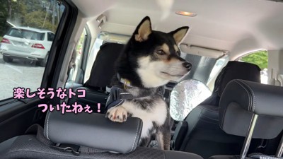 翌日、原っぱのある場所に到着