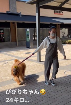 おでかけをしていたら…