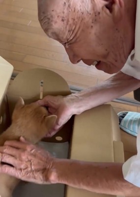 子犬に手を添える人