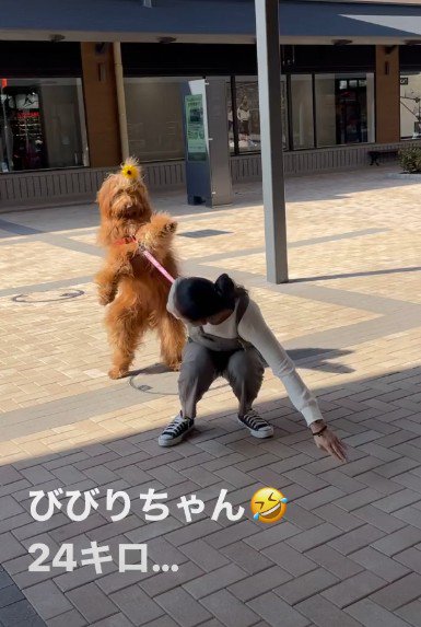 「絶対に行きたくない！」