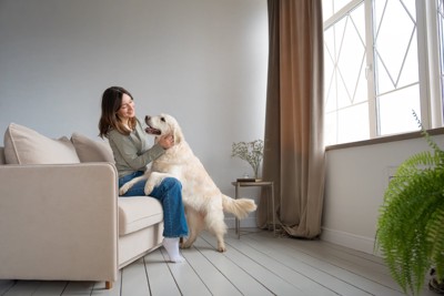 部屋で戯れ合う犬と女性