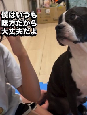「大丈夫だよ」