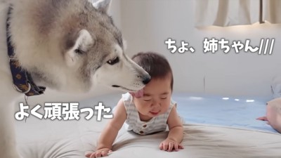 前に進めたら褒めてくれます♪