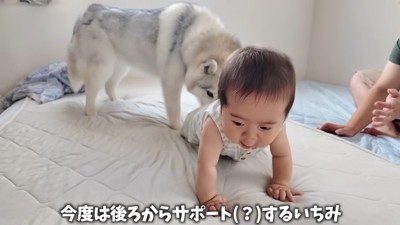おしりを押してサポート
