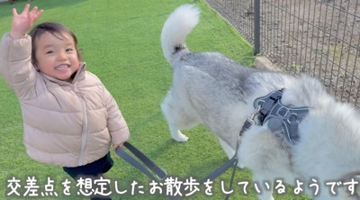 笑顔で犬の散歩をする女の子