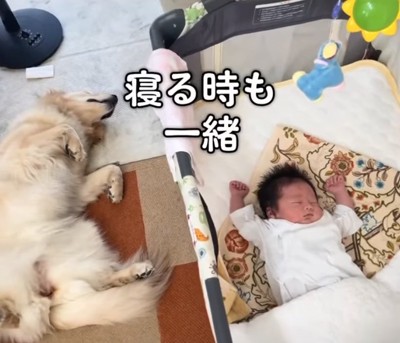 一緒に眠るふたり