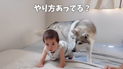 優しく見守るいちみちゃん