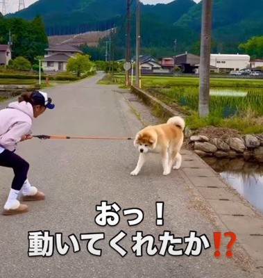 諦めたかと思いきや…