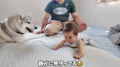 いちみちゃんの愛と優しさにほっこり♡