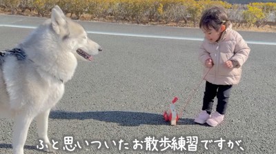 ふり返っておもちゃの犬を見つめる女の子