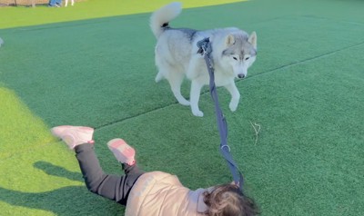 犬のリードを持って転ぶ女の子