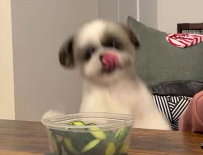 大興奮