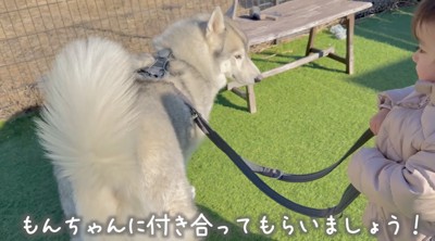 ドッグランの中で犬のリードを持つ女の子
