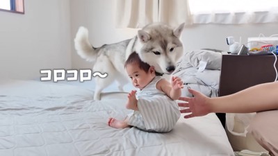 今度は転がらないよう支えてくれました！