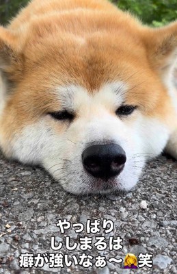 家を出て3分で就寝