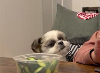 チラッ