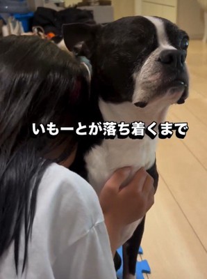 「いつでも味方だよ」