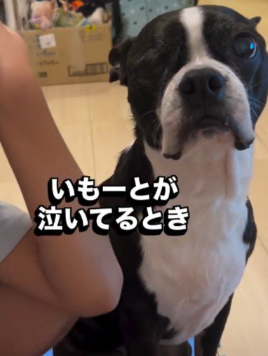 8年後の変化にビックリ!