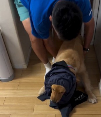 アリスちゃんを立ち上がらせる飼い主さん