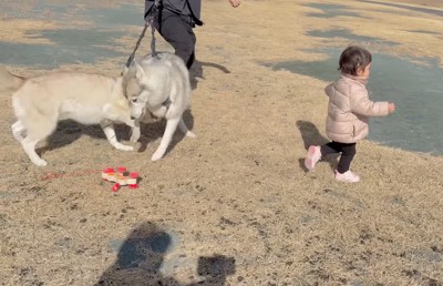 おもちゃの犬のリードを放して走り出す女の子