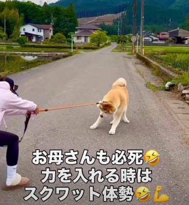 永遠に続く攻防戦!?