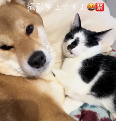 今でも変わらず添い寝