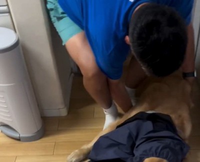 カッパを着せられるアリスちゃん